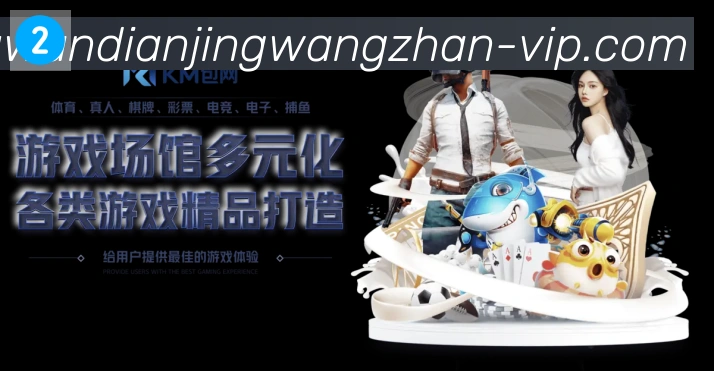 奖项证书